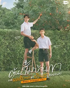 当橘子掉落时——英雄祭1—40集